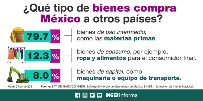 Infografía: Importaciones en México 2021
