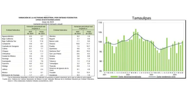 Reporte INEGI Indicador Mensual de la Actividad Industrial por Entidad Federativa